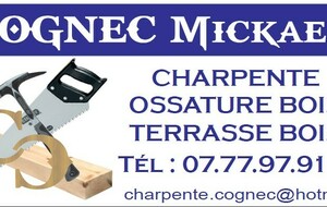 Charpente - Mickaël Cognec