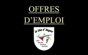 OFFRES D'EMPLOI