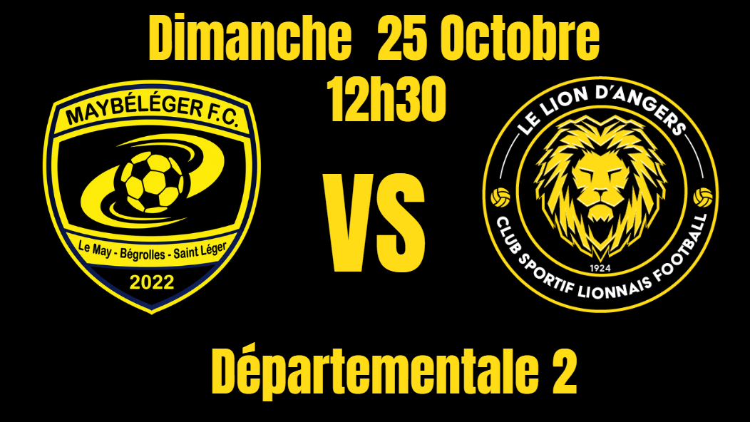 Les Lionnes