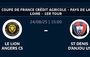 Coupe de France