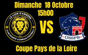 Les Lionnes