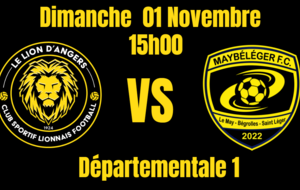 Les Lions