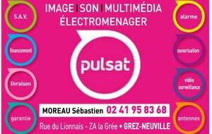 Pulsat - Moreau Sébastien