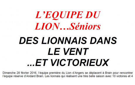 L'Equipe du Lion