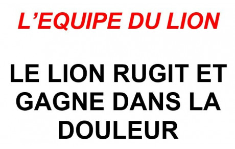 L'équipe du Lion