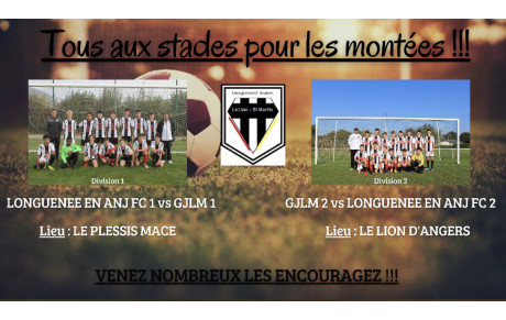 Groupement jeune Le Lion / St Martin