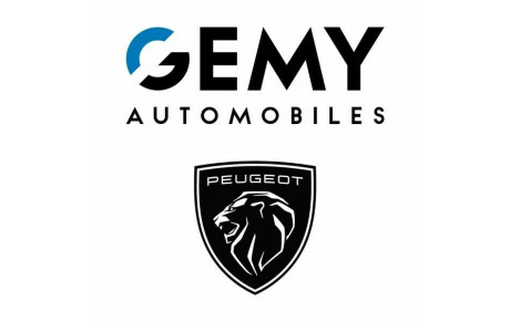 PEUGEOT GEMY