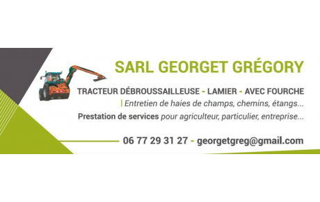 GREGORY GEORGET
