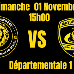 Les Lions