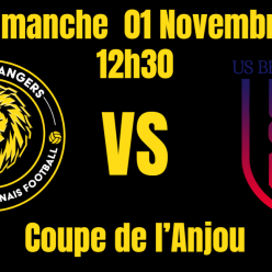 Les Lionnes